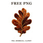 Whimsical Copper Velvet Oak Fall Leaf Clipart PNG