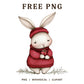 Whimsical Christmas Bunny Red Sweater Clipart PNG