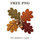 Whimsical Oak Acorn Cluster Fall Leaves Clipart PNG