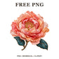 Whimsical Silk Peony Clipart PNG