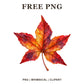 Whimsical Watercolor Sweetgum Fall Leaf Clipart PNG