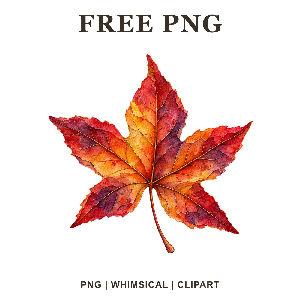 Whimsical Watercolor Sweetgum Fall Leaf Clipart PNG