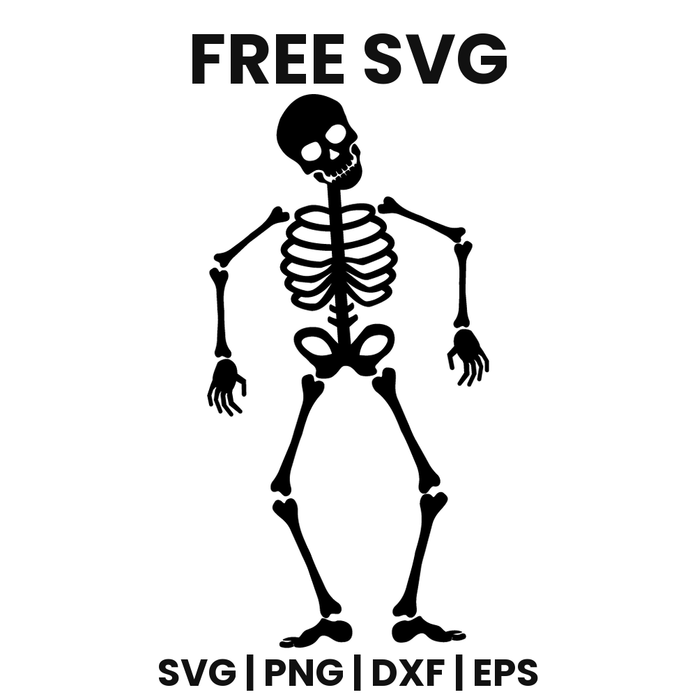 Standing Skeleton SVG Free – Halloween Silhouette Cut File-8SVG