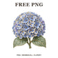 Whimsical Porcelain Hydrangea Clipart PNG