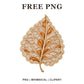 Whimsical Ivory Lace Beech Fall Leaf Clipart PNG