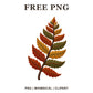 Whimsical Autumn Fern Fall Leaf Clipart PNG