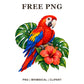 Whimsical Parrot Tropical Bird Clipart PNG