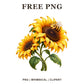 Whimsical Honeybee Bloom Sunflower Clipart PNG