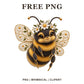Whimsical Daisy Bloom Bee Clipart PNG