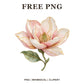 Whimsical Watercolor Magnolia Clipart PNG