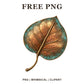 Whimsical Eucalyptus Copper Fall Leaf Clipart PNG