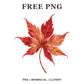 Whimsical Silk Japanese Maple Fall Leaf Clipart PNG