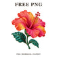 Whimsical Tropical Hibiscus Clipart PNG
