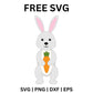Charming Bunny Holding Carrot - Free SVG Cut File-8SVG