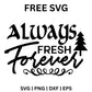 Always Fresh Forever SVG Free – Winter Script Quote Design