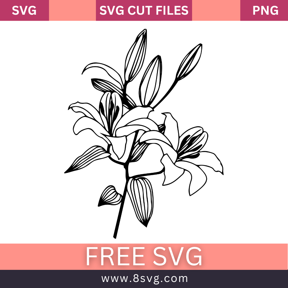 Lily Flowar Svg Free Cut File For Cricut – RNOSA LTD | 8SVG