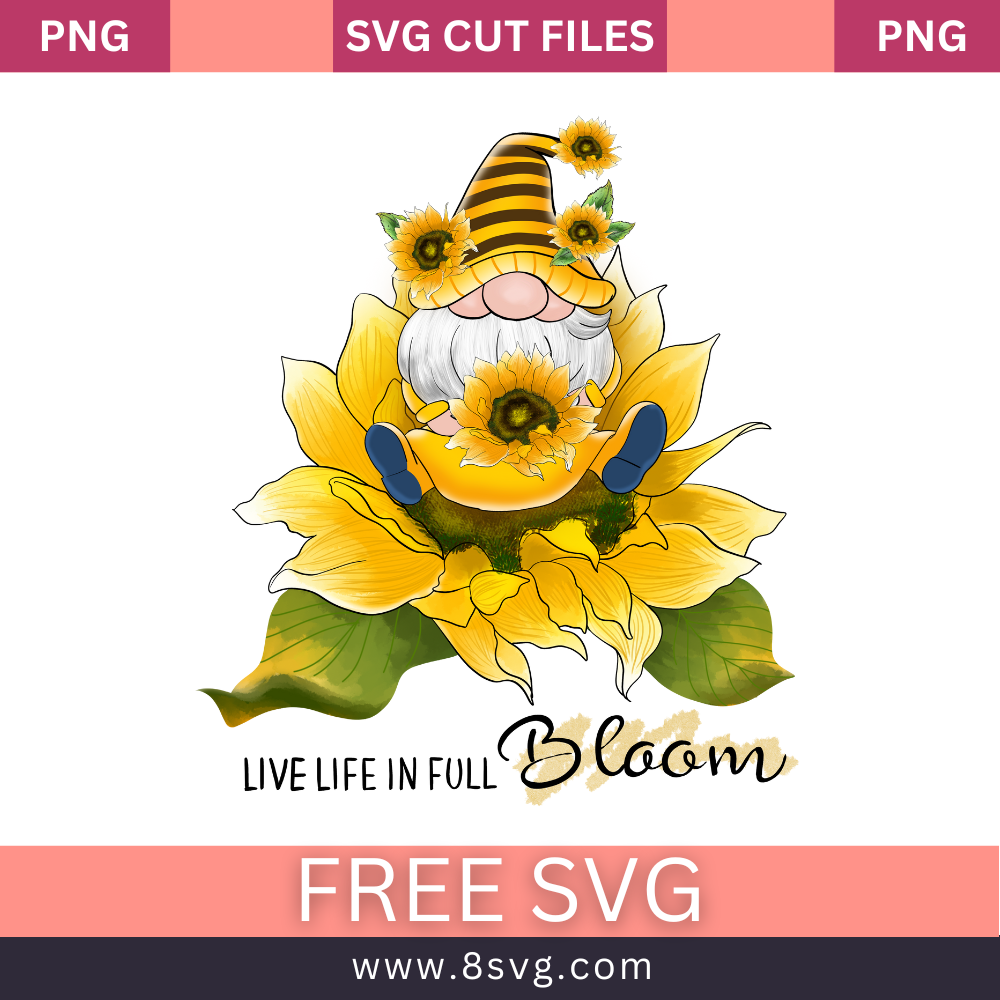 Live Life in full Bloom Gnome Sunflower SVG Free Sublimation Download- 8SVG