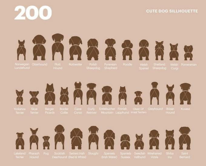 200+ Dog Butt SVG Bundle | Silhouette, Chow Chow, Leash Holder- 8SVG